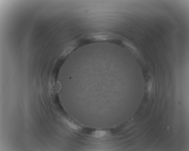 X0000082170418200701270005