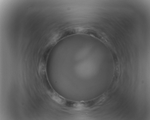 X0000082170419200701270005