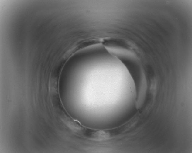 X0000082170421200701270005