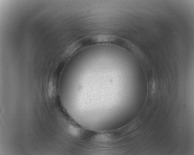 X0000082170422200701270005