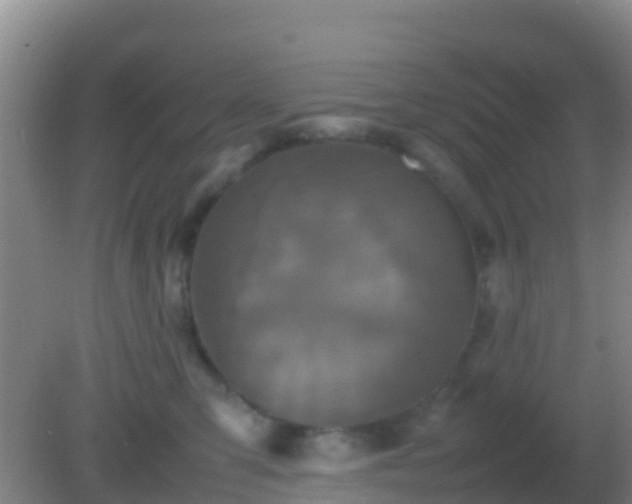 X0000082170423200701270005