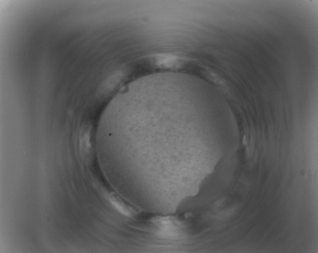 X0000082170424200701270005