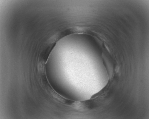 X0000082170425200701270005