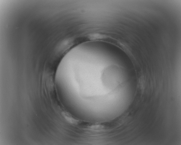 X0000082170426200701270005