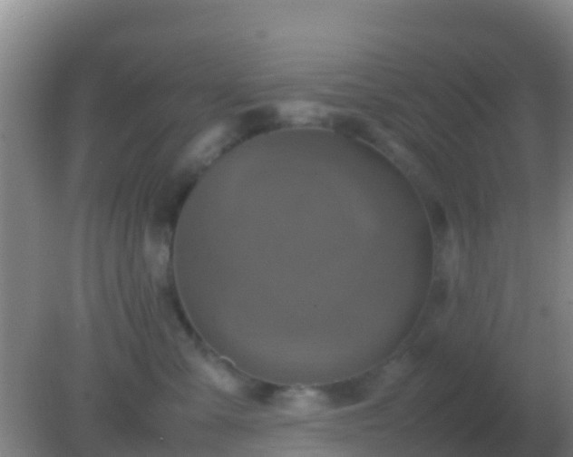 X0000082170427200701270005