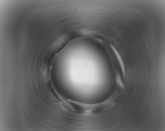 X0000082170428200701270005