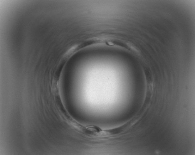 X0000082170429200701270005