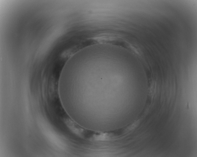 X0000082170430200701270005