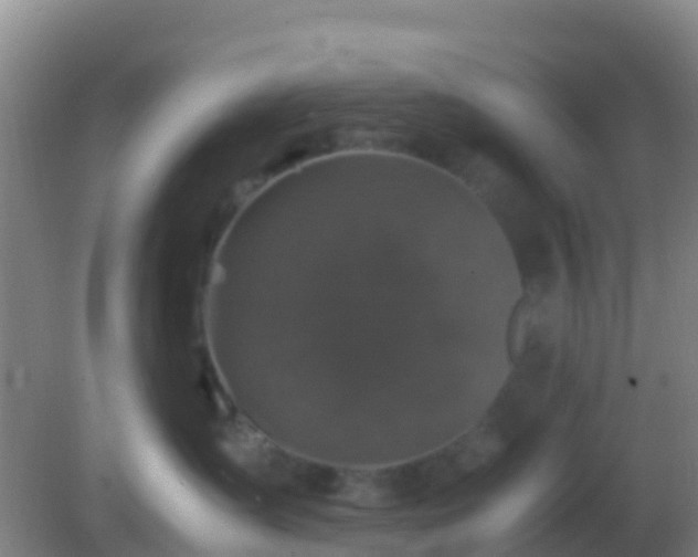 X0000082170431200701270005