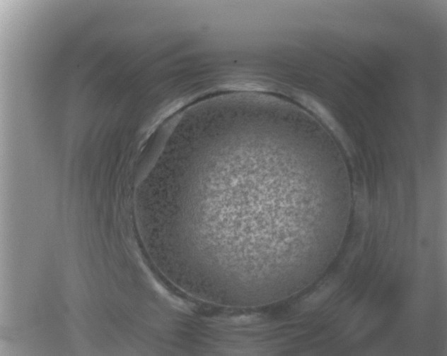 X0000082170433200701270004