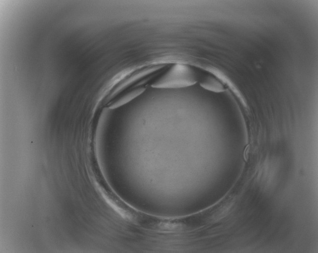 X0000082170437200701270004