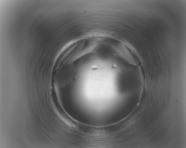 X0000082170438200701270004