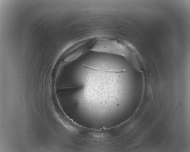 X0000082170439200701270004