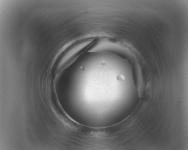 X0000082170440200701270004