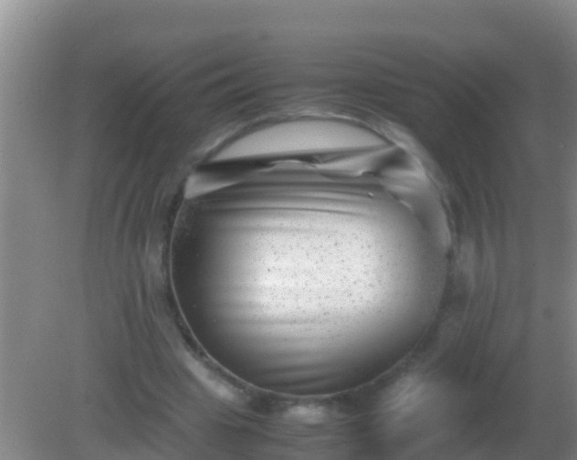 X0000082170441200701270004