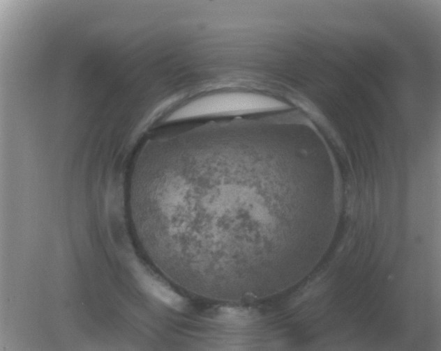 X0000082170442200701270004