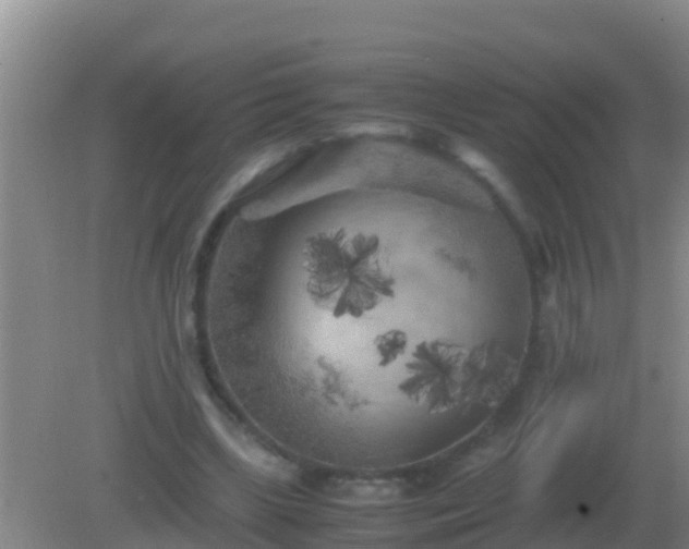 X0000082170443200701270004