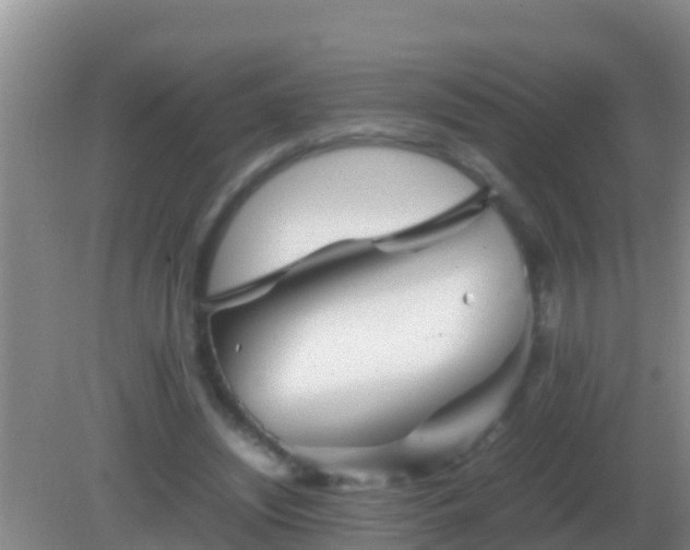 X0000082170444200701270004