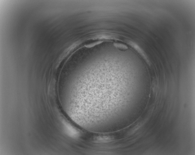 X0000082170445200701270004