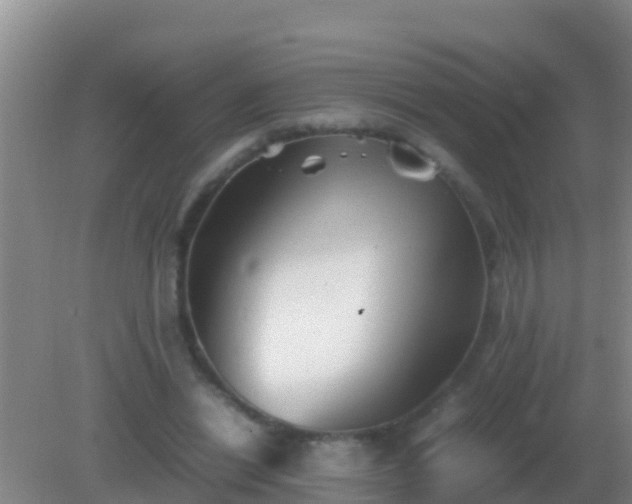 X0000082170446200701270004