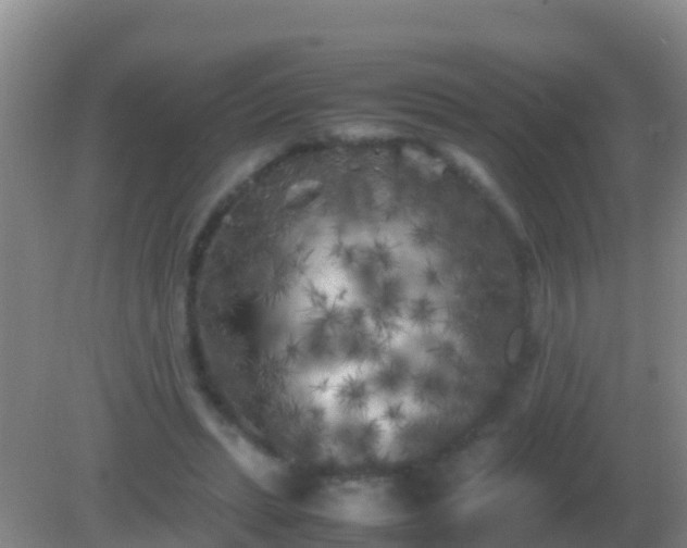 X0000082170447200701270004