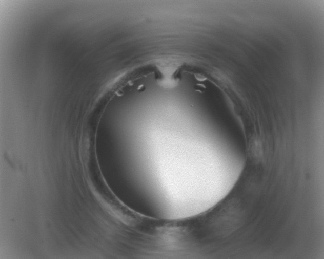 X0000082170448200701270004