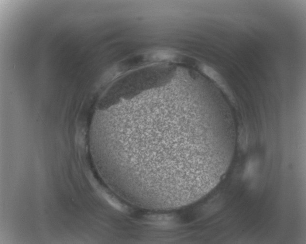 X0000082170449200701270004