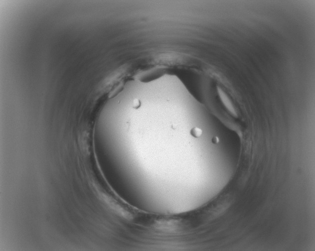 X0000082170450200701270004