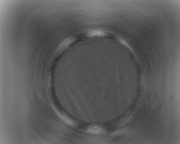 X0000082170451200701270004