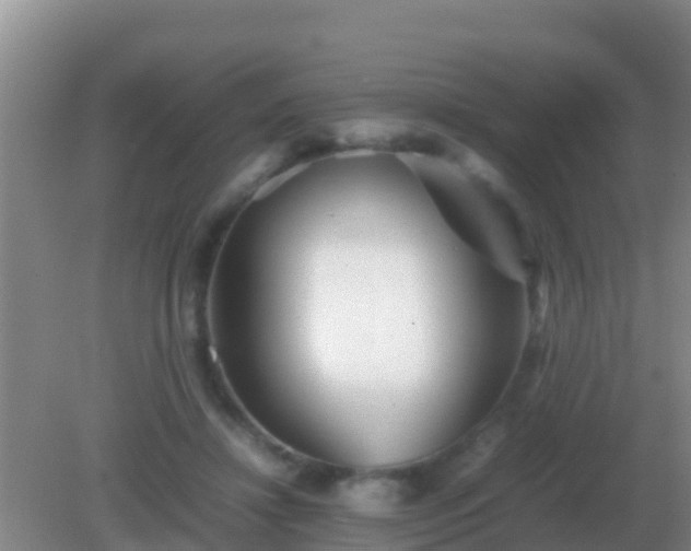 X0000082170452200701270004