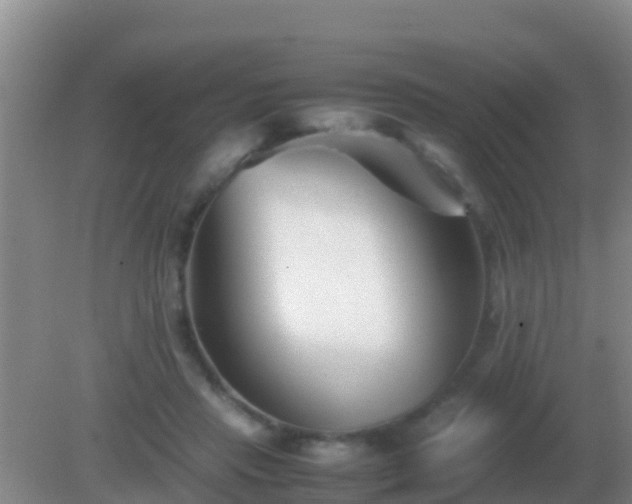 X0000082170453200701270004