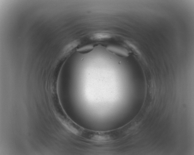 X0000082170455200701270004