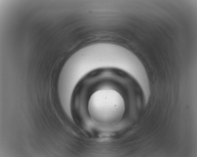 X0000082170456200701270004