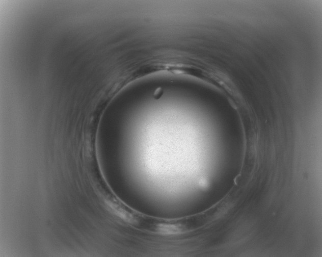 X0000082170457200701270004