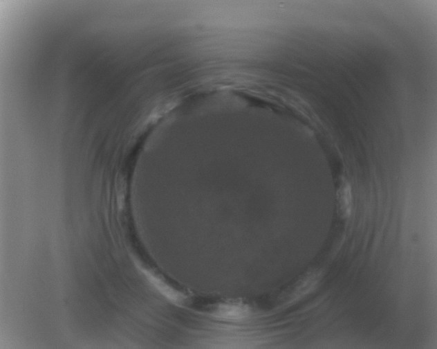 X0000082170458200701270004