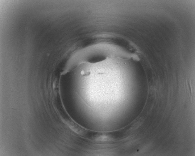 X0000082170460200701270004