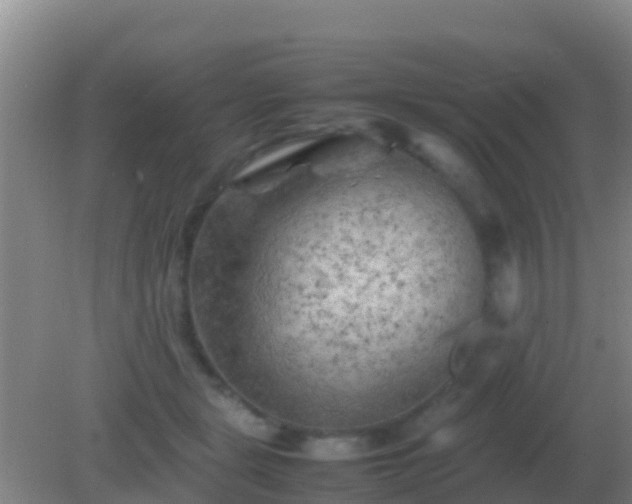 X0000082170461200701270004