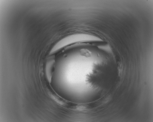 X0000082170462200701270004