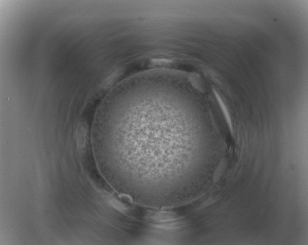 X0000082170463200701270004