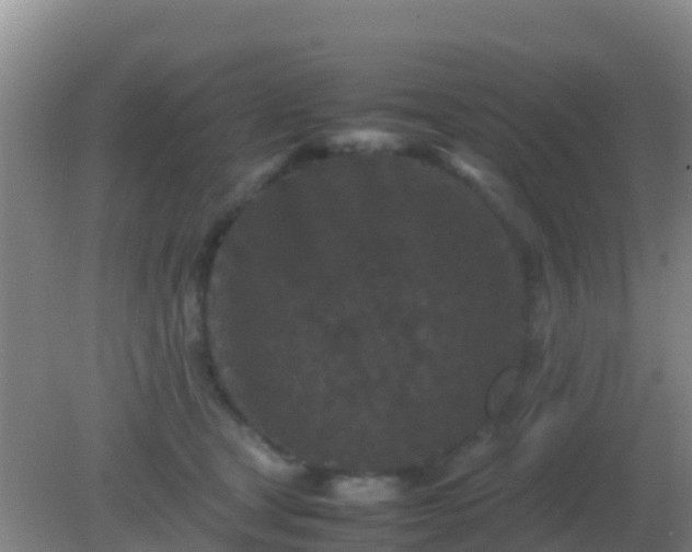 X0000082170465200701270004