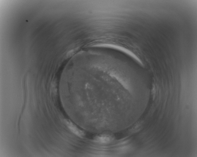 X0000082170466200701270004