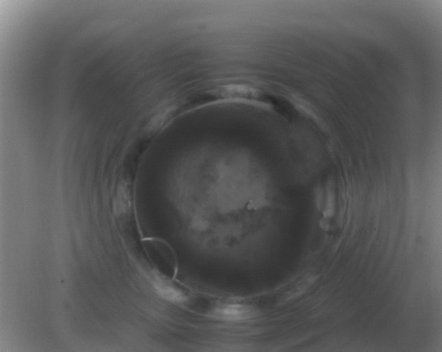 X0000082170467200701270004