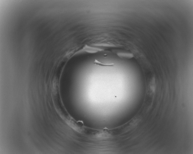 X0000082170468200701270004