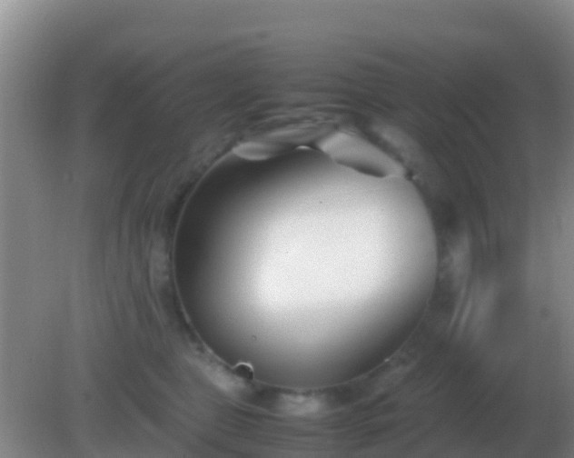 X0000082170469200701270004