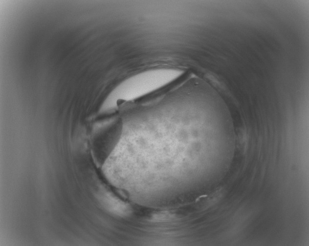 X0000082170470200701270004