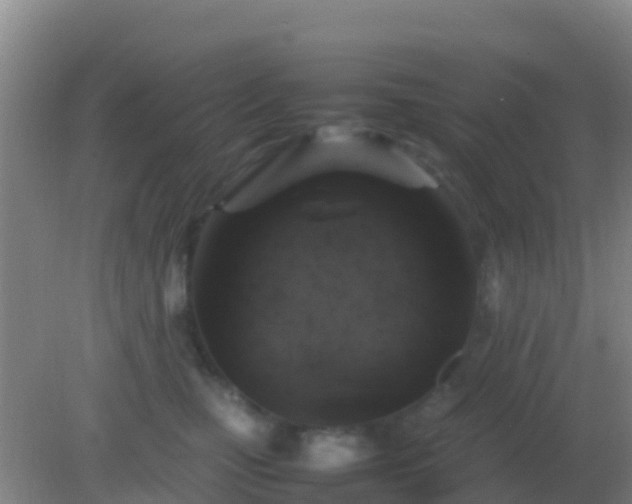 X0000082170471200701270004