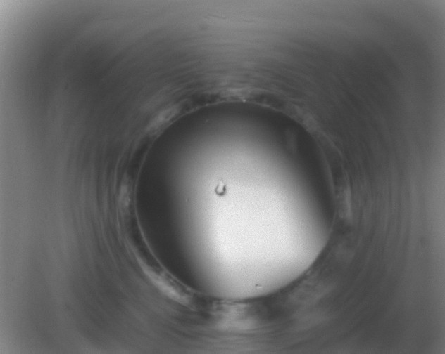 X0000082170472200701270005