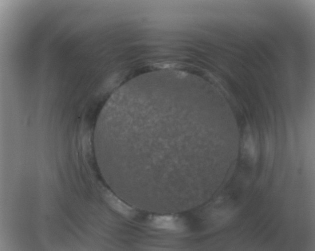 X0000082170473200701270005