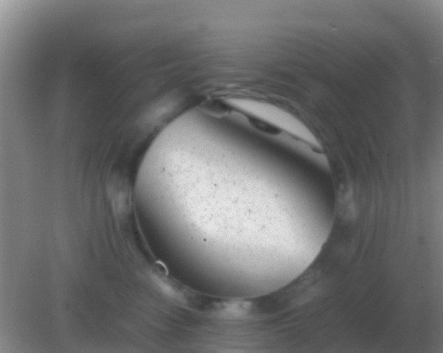 X0000082170474200701270005