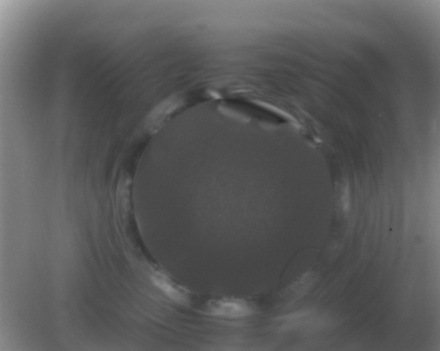 X0000082170475200701270005